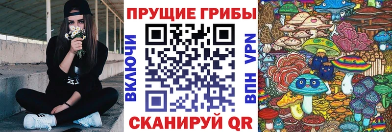 Галлюциногенные грибы GOLDEN TEACHER  купить закладку  Вышний Волочёк 